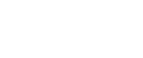 Лицо короля