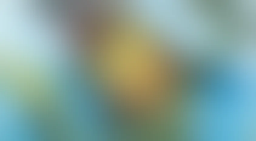 Вот какой рассеянный