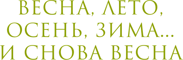 Весна, лето, осень, зима... и снова весна
