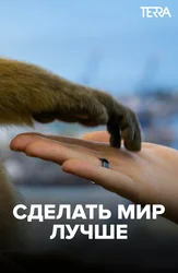 Сделать мир лучше