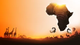 Afrika safarisi 3D