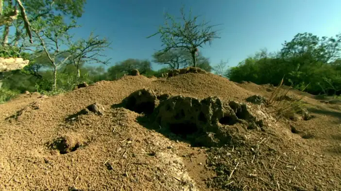 Трейлер (русский язык)