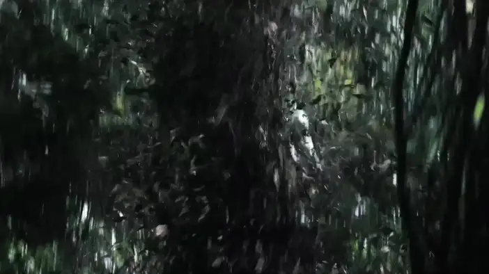 Трейлер (дубляж)