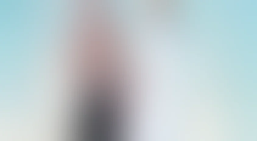 Дикая собака Динго