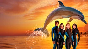 Delfinning hikoyasi: Bagama orollarida ta'til