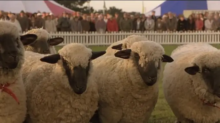 Фрагмент 8 (английский язык)