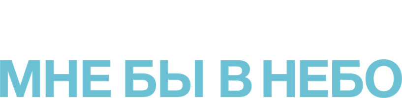 Мне бы в небо (Фильм, 2009)