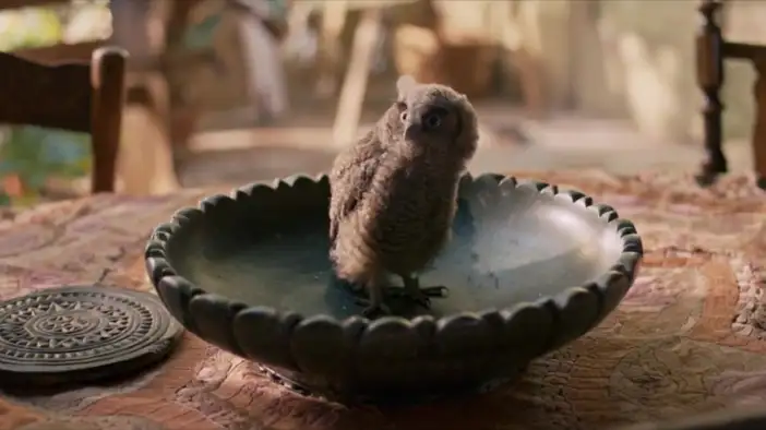 Трейлер (датский язык)