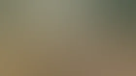 Благие намерения