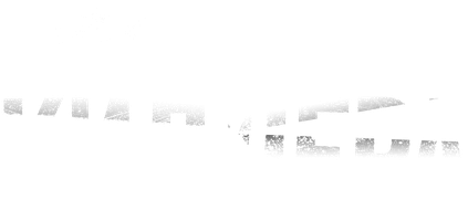 Охота на киллера (Фильм, 2024)