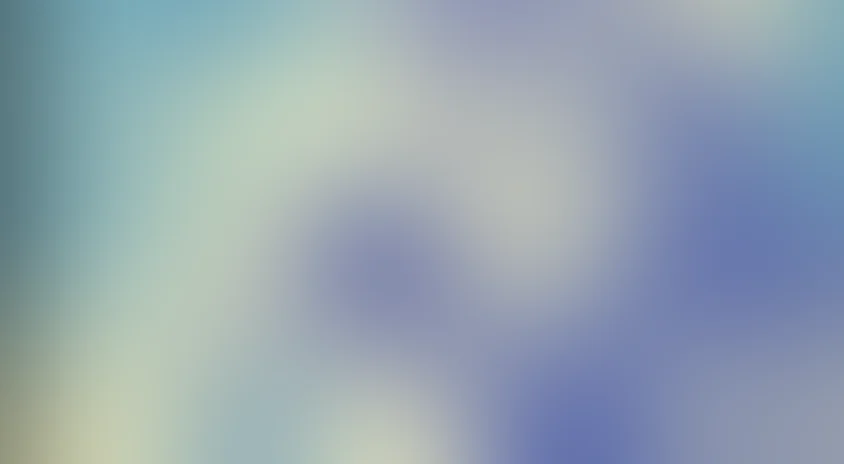 Право на выстрел