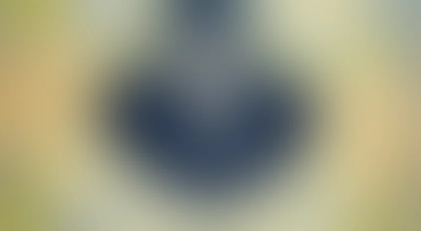 Дядюшкин сон