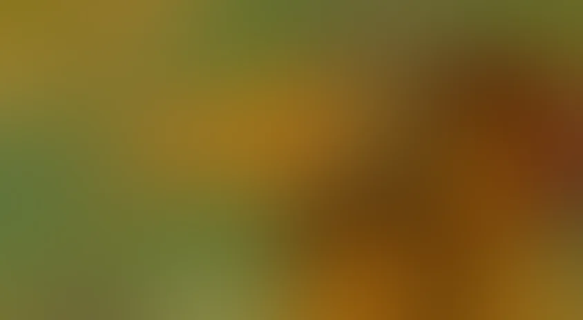 Василиса Микулишна