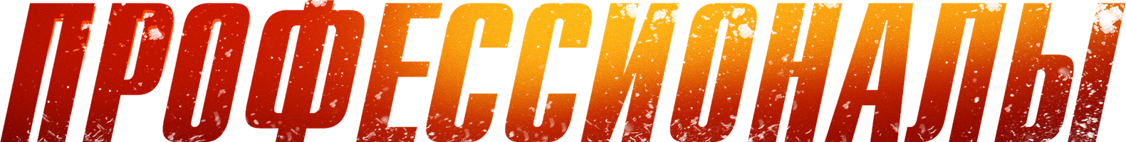 Профессионалы