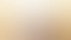 Мой год в Нью-Йорке