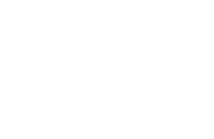 Вот такое шоу. Сергей Орлов