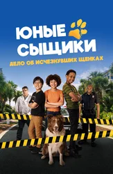 Юные сыщики. Дело об исчезнувших щенках