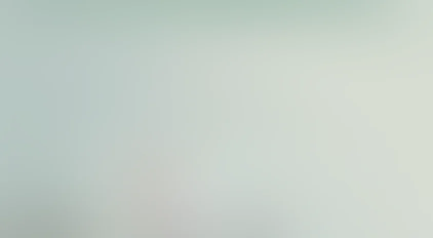 Новый Аладдин