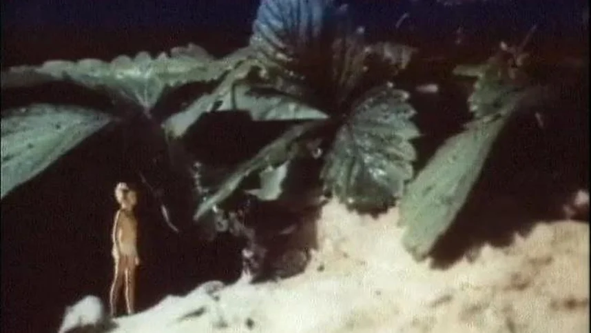 Sexy tor likrali kombinezon