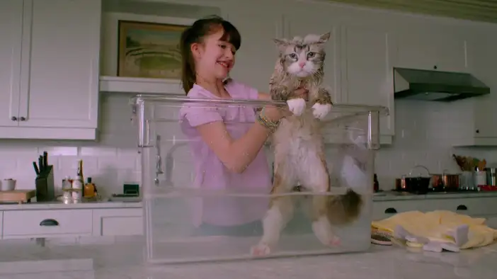 Трейлер (русский язык)