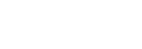 Чёрная кошка, белый кот