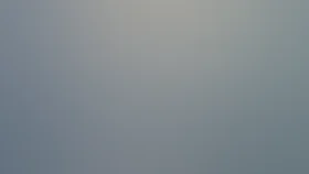 В лесу родилась ёлочка