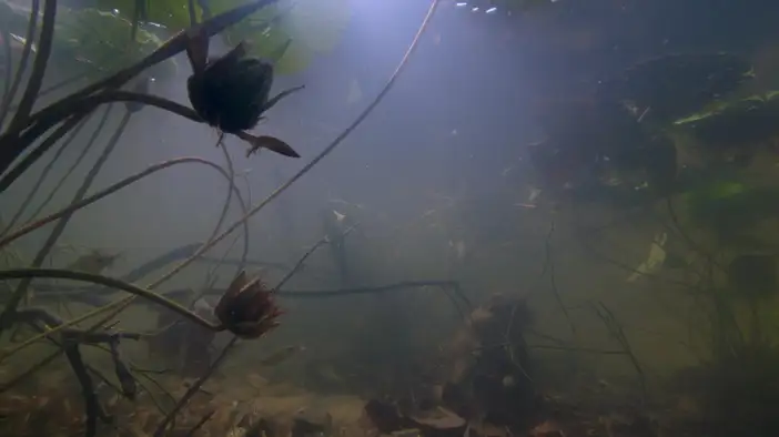 Фрагмент (русский язык)