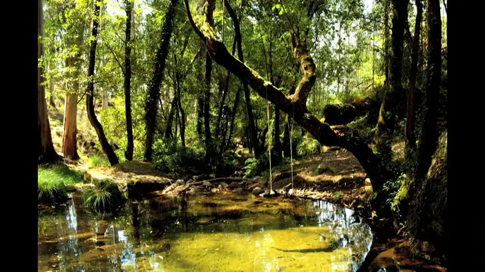 Трейлер (русский язык)