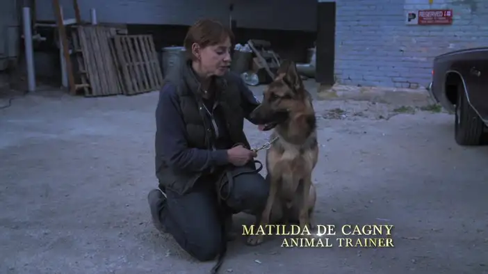 О съемках (английский язык)