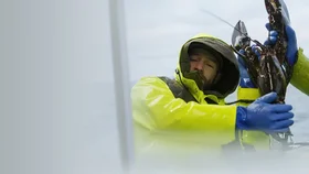 Охотники за лобстерами