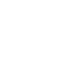 Русский роман
