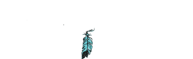 Юный вождь Виннету