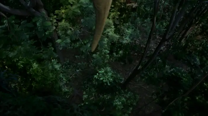 Фрагмент (дублированный)