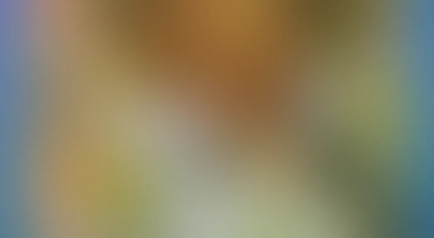 Картинки с выставки