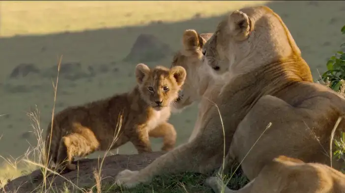 Фрагмент (дублированный)