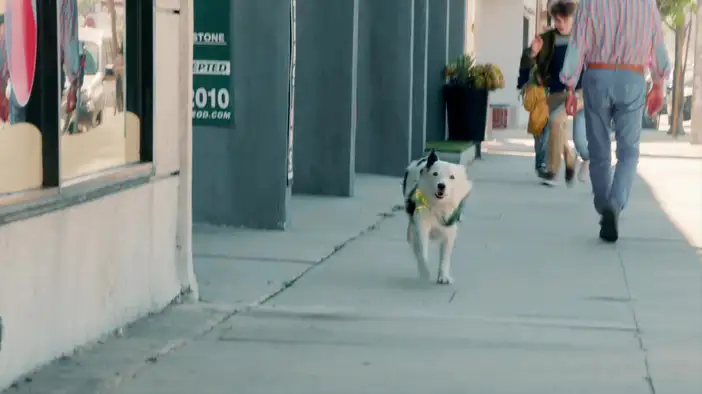 Трейлер (дублированный)