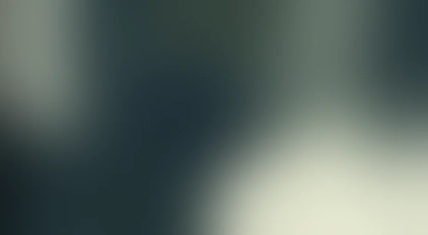 Макулатура: Внутренний реп