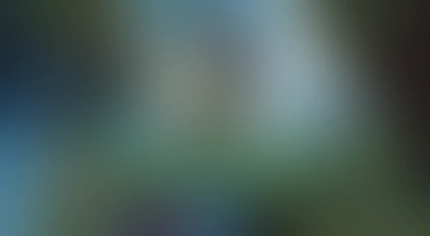 Черепашки-ниндзя