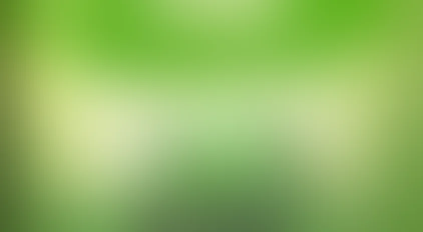 Истории свинок (START)