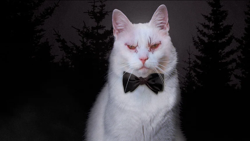 Коко-ди Коко-да