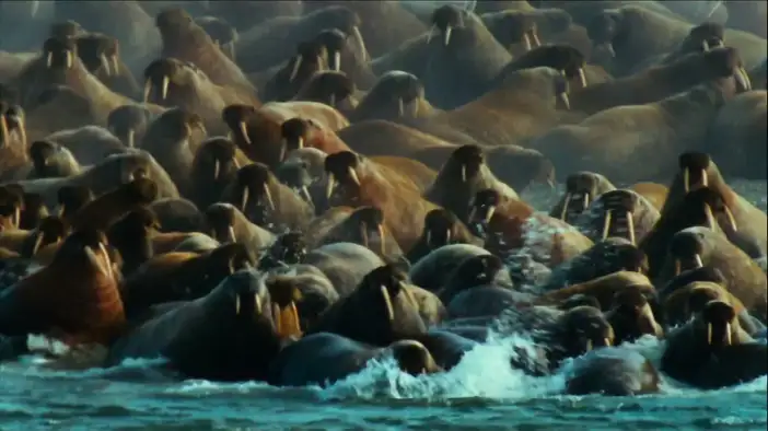 Трейлер (английский язык)