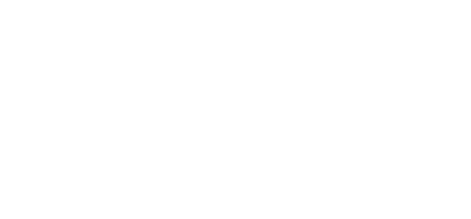 Мой брат