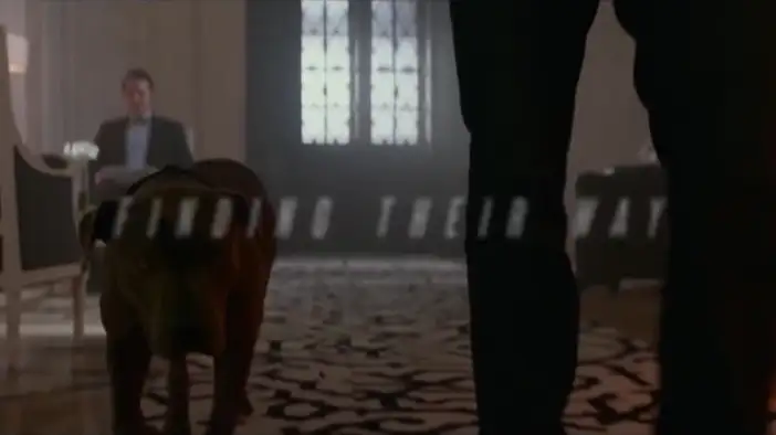 Промо-трейлер "Happy National Puppy Day" (английский язык)