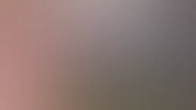 Муж на час (2007)