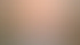 Ограбление века