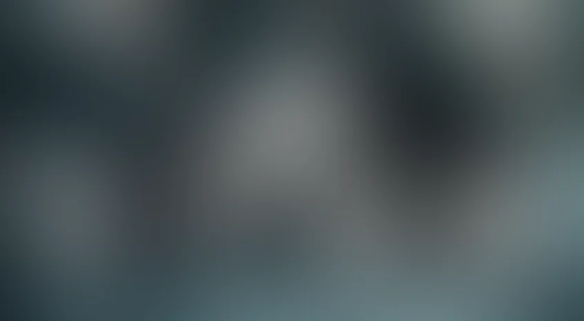 Стая (короткая версия)