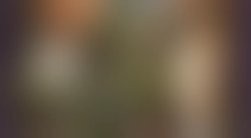 Дворянское гнездо