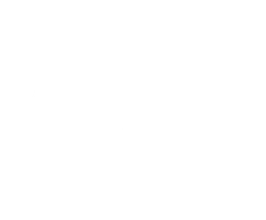 Общество мертвых поэтов