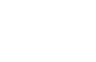 Путь за мечтой