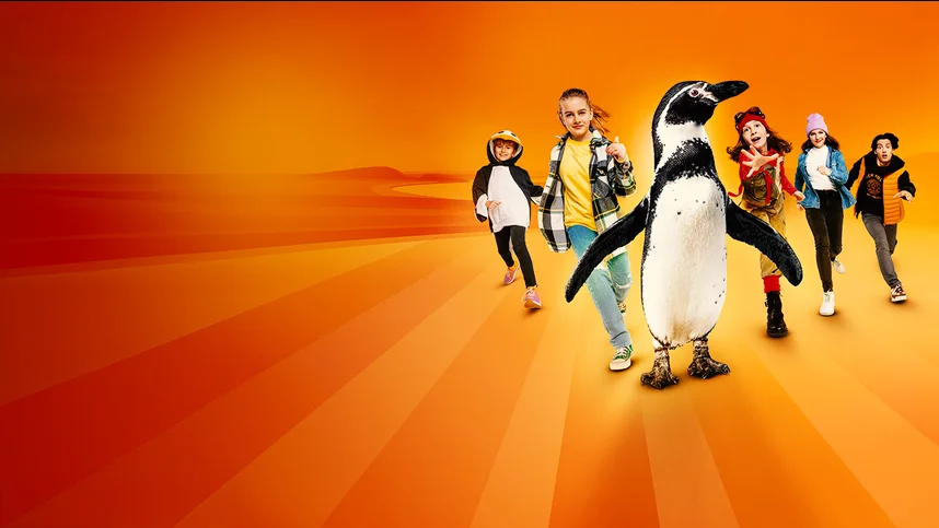 Приключения пингвина Пола